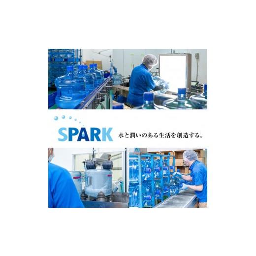ふるさと納税 水・ミネラルウォーター 大分県 宇佐市 シリカスプリングス(計24L・500ml×48本)シリカ水 天然水 美容 健康 炭酸水素イオン 常温 常温保存 11470…の画像