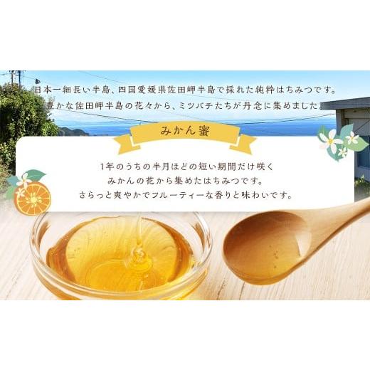 ふるさと納税 加工品等 はちみつ 愛媛県 - 「岬のしずく」佐田岬半島産純粋蜂蜜 みかん蜜 1kg 3本 セット 合計3kg 愛媛県産 はちみつ ハチミツ 蜜 国産 常温 …の画像