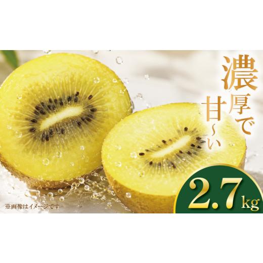 ふるさと納税 果物類 徳島県 吉野川市 訳あり ゴールドキウイ 先行予約 約2.7kg 2026年11月上旬〜 イエロージョイ 国産キウイフルーツ キウイフルーツゼリー …