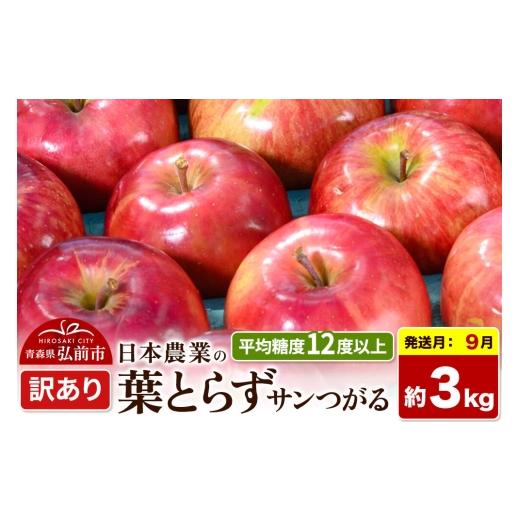 ふるさと納税 りんご 青森県 弘前市 26年9月クール便発送 りんご 葉とらずサンつがる 訳あり 約3kg 平均糖度12度以上 青森県産 果物 フルーツ 林檎 リンゴ く…