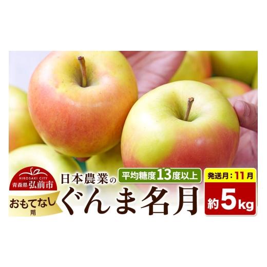 ふるさと納税 りんご 青森県 弘前市 26年11月発送 りんご ぐんま名月 おもてなし用 約5kg 平均糖度13度以上 青森県 弘前市 果物 フルーツ 林檎 リンゴ くだも…