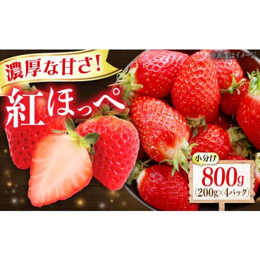 ふるさと納税 いちご 広島県 福山市 いちご 苺 紅ほっぺ 200g×4パック 国産 完熟 スムージー ジャム ヨーグルト 一口サイズ イチゴ 完熟 苺 果物 フルーツ 冷…