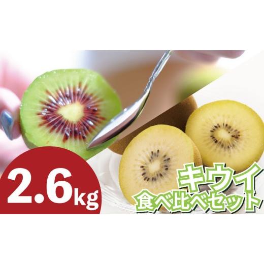 ふるさと納税 果物類 徳島県 吉野川市 訳あり キウイフルーツ 食べ比べ セット2.6kg 先行予約2026年10月上旬〜 ゴールデンキウイ 紅妃 レインボーレッド キウ…