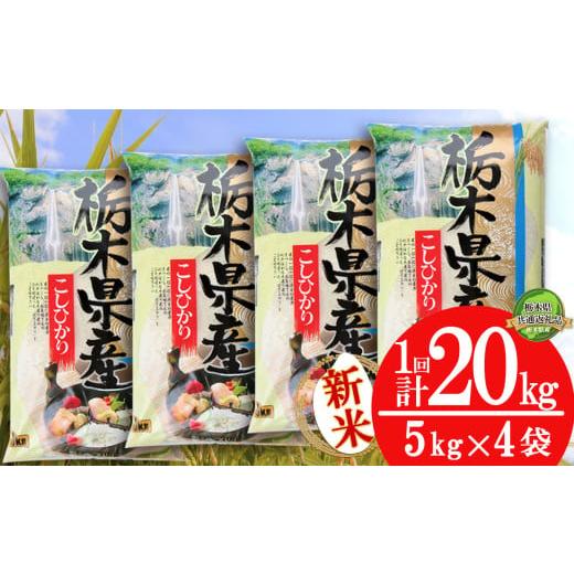 ふるさと納税 米 コシヒカリ 栃木県 下野市 11月発送 コシヒカリ20kg(5kg×4袋) 栃木県共通返礼品 | 米 こめ コメ kome 白米 精米 お米 こしひかり コシヒカ…