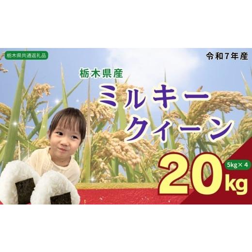 ふるさと納税 米 ミルキークイーン 栃木県 下野市 ミルキークイーン 20kg(5kg×4袋)| 米 こめ コメ kome 白米 精米 お米 みるきーくいーん ミルキークイーン…