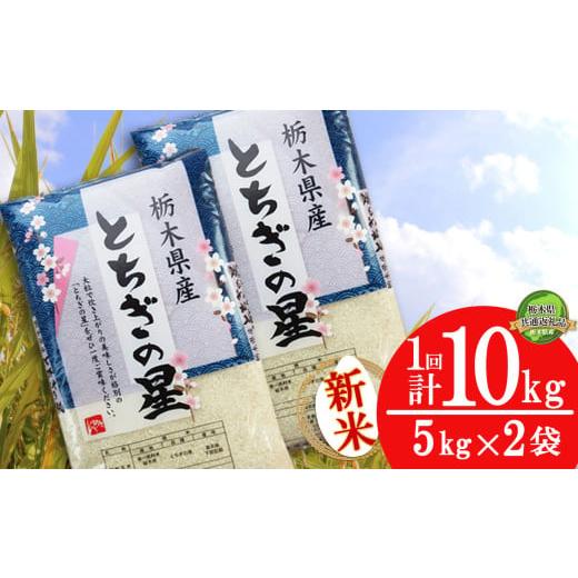 ふるさと納税 米 栃木県 下野市 栃木県共通返礼品 11月発送 とちぎの星 10kg(5kg×2袋) | 米 こめ コメ kome 白米 精米 お米 とちぎのほし トチギノホシ ト…