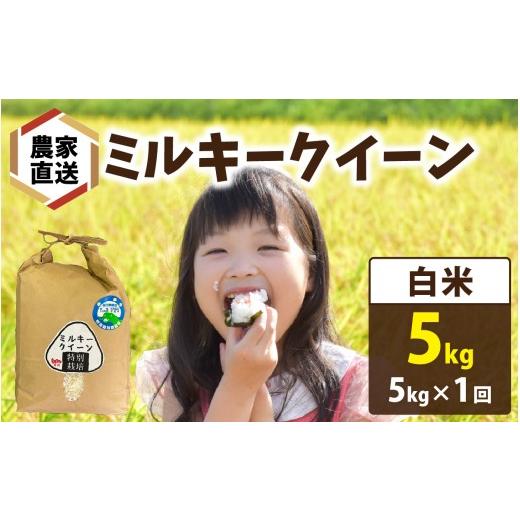 ふるさと納税 米 ミルキークイーン 福井県 南越前町 先行予約 令和8年産 新米 農家直送 ミルキークイーン 5kg×1袋(計5kg)白米 2026年10月より順次発送 白…