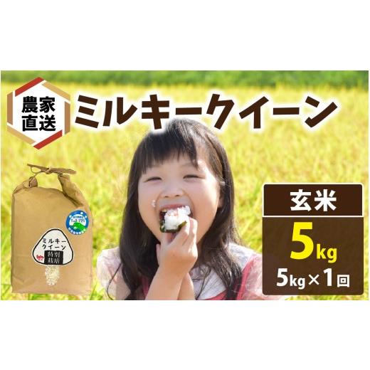 ふるさと納税 米 ミルキークイーン 福井県 南越前町 先行予約 令和8年産 新米 農家直送 ミルキークイーン 5kg×1袋(計5kg)玄米 2026年10月より順次発送 玄…