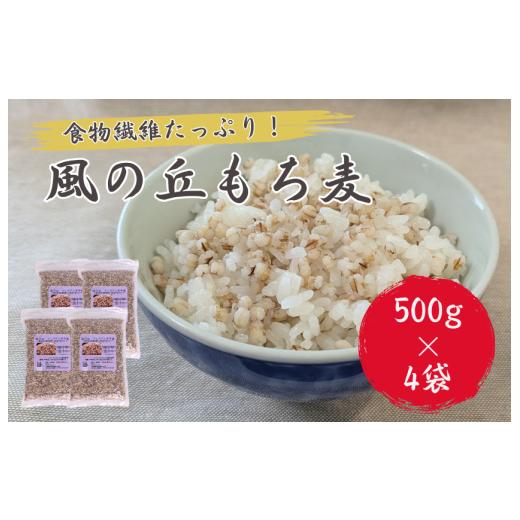 ふるさと納税 雑穀 千葉県 匝瑳市 風の丘もち麦 2kg(500g×4袋) / もち麦 麦 むぎ 大麦 雑穀 雑穀米 もち麦ごはん 麦ごはん 食物繊維 2kg(500g×4袋)