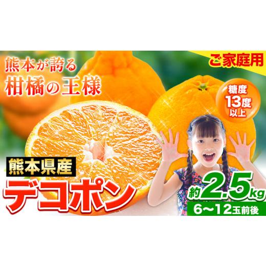 ふるさと納税 みかん・柑橘類 デコポン 熊本県 荒尾市 先行予約 デコポン 2.5kg 訳あり デコポン ご家庭用デコポン 約 2.5kg 前後(約6-12玉前後) 糖度13度以上…_1