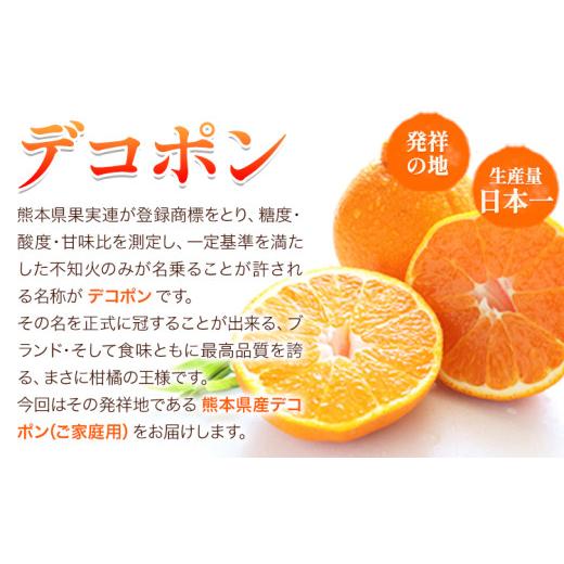 ふるさと納税 みかん・柑橘類 デコポン 熊本県 荒尾市 先行予約 デコポン 2.5kg 訳あり デコポン ご家庭用デコポン 約 2.5kg 前後(約6-12玉前後) 糖度13度以上…_3