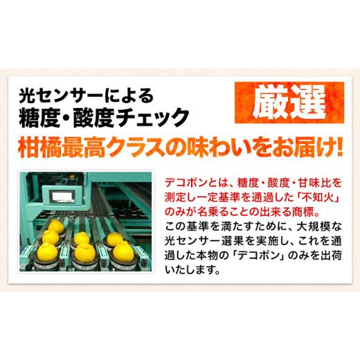 ふるさと納税 みかん・柑橘類 デコポン 熊本県 荒尾市 先行予約 デコポン 2.5kg 訳あり デコポン ご家庭用デコポン 約 2.5kg 前後(約6-12玉前後) 糖度13度以上…_4
