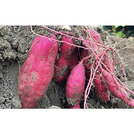ふるさと納税 野菜類 サツマイモ 福岡県 嘉麻市 福岡県産熟成紅はるか 3kg さつまいも 2025年11月上旬-2026年2月上旬迄に順次発送予定