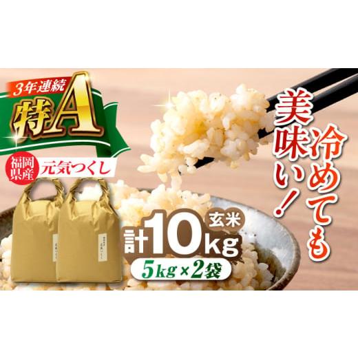 ふるさと納税 玄米 福岡県 吉富町 福岡県産 元気つくし 玄米 10kg (5kg×2袋) 吉富町/株式会社ベネフィス BGAF020 福岡県