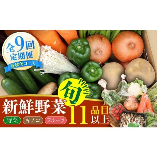 ふるさと納税 セット・詰合せ 長崎県 南島原市 春秋冬限定コース 野菜 キノコ 果物 11品目 詰め合わせ 9回定期便 / 野菜定期便 やさい定期便 野菜セット き…