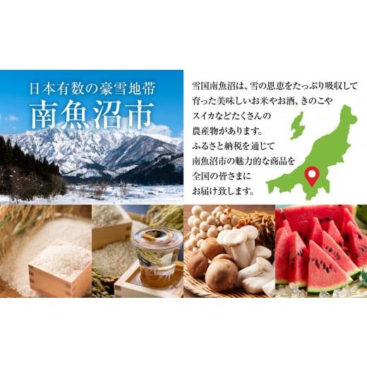 ふるさと納税 日本酒 純米吟醸酒 新潟県 南魚沼市 鶴齢 純米吟醸 720ml 12本 晩酌 酒 日本酒 常温 熱燗 こしいぶき 15.5％ アルコール お酒 低精米 新潟 贈答…の画像