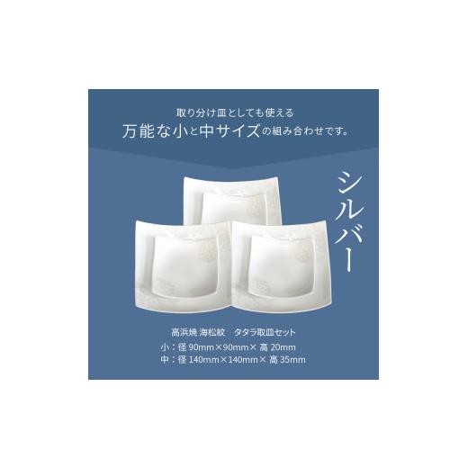 ふるさと納税 陶磁器・漆器・ガラス 熊本県 天草市 S026-109_天草 高浜焼 タタラ取皿セット シルバー3セット シルバー3セットの画像