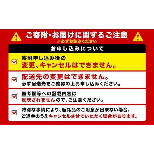 ふるさと納税 ビール 北海道 千歳市  定期便6回・隔月 キリン一番搾り生ビール 350ml（24本） 北海道千歳工場産の画像