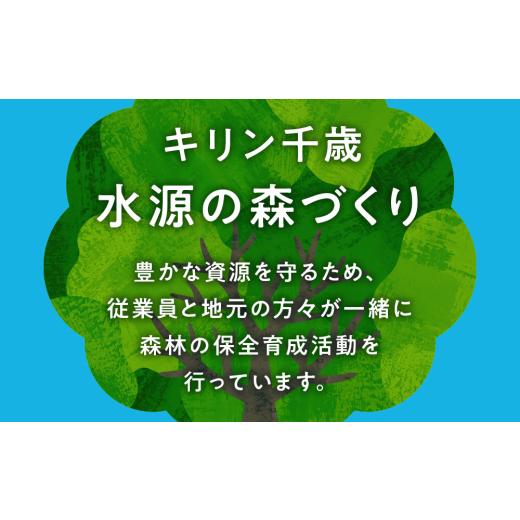 ふるさと納税 ビール 北海道 千歳市  定期便6回・隔月 キリンラガービール 350ml（24本） 北海道千歳工場産の画像