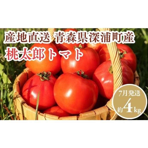 ふるさと納税 野菜類 トマト 青森県 深浦町 7月発送 青森県産 桃太郎 トマト 約4kg 20玉前後 7月発送