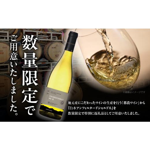 ふるさと納税 ワイン 白ワイン 宮崎県 都農町 数量限定 白水アンフィルタードシャルドネ(計1本) 酒 飲料 アルコール 国産_T014-0285_2