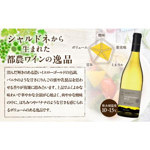 ふるさと納税 ワイン 白ワイン 宮崎県 都農町 数量限定 白水アンフィルタードシャルドネ(計1本) 酒 飲料 アルコール 国産_T014-0285_3
