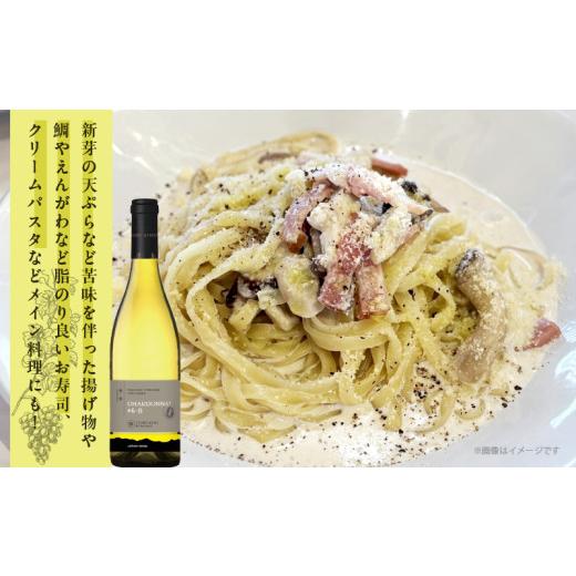 ふるさと納税 ワイン 白ワイン 宮崎県 都農町 数量限定 白水アンフィルタードシャルドネ(計1本) 酒 飲料 アルコール 国産_T014-0285_4