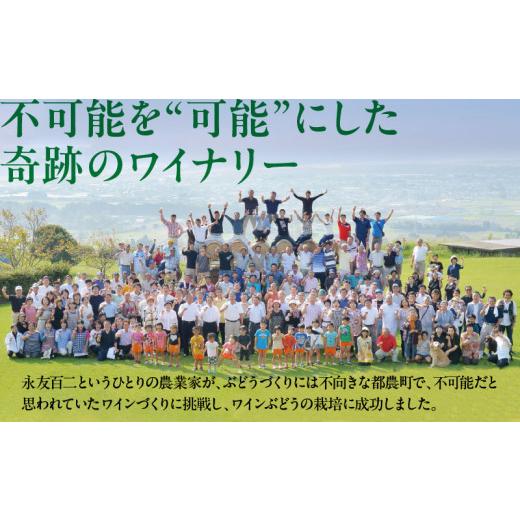 ふるさと納税 ワイン 白ワイン 宮崎県 都農町 数量限定 白水アンフィルタードシャルドネ(計1本) 酒 飲料 アルコール 国産_T014-0285_7