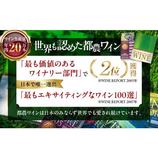 ふるさと納税 ワイン 白ワイン 宮崎県 都農町 数量限定 白水アンフィルタードシャルドネ(計1本) 酒 飲料 アルコール 国産_T014-0285_8