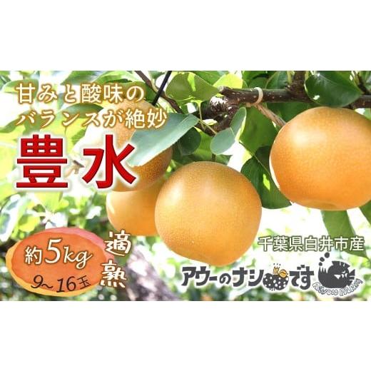 ふるさと納税 梨 千葉県 白井市 2026年秋収穫分 梨 豊水 約5kg 9〜16玉 農家直送 千葉県白井市 先行予約受付 アウーファーム