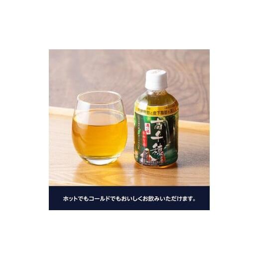 ふるさと納税 お茶類 緑茶（飲料） 宮崎県 川南町  3ヶ月定期便 サンA 濃い味釜炒り茶(機能性表示食品)PET（280ml×24本） お茶 釜炒り茶 飲料お茶 ペットボト…の画像