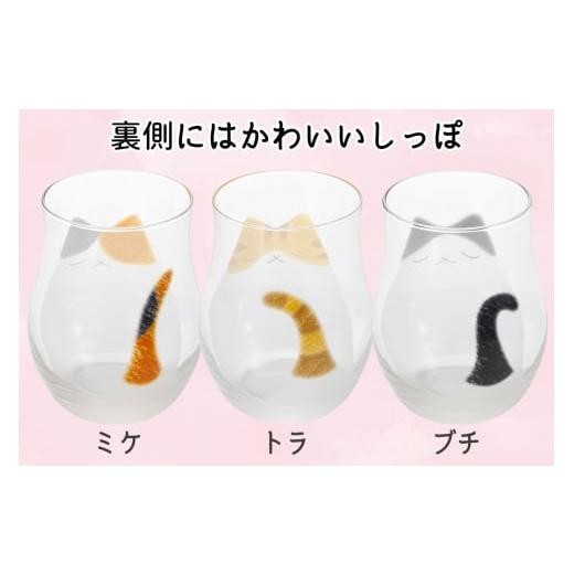 ふるさと納税 雑貨・日用品 グラス 愛知県 岩倉市 わたしの家族 子猫グラス 3個セット (ミケ・トラ・ブチ)｜三毛猫 ミケネコ みけねこ トラ猫 トラネコ とらね…_3