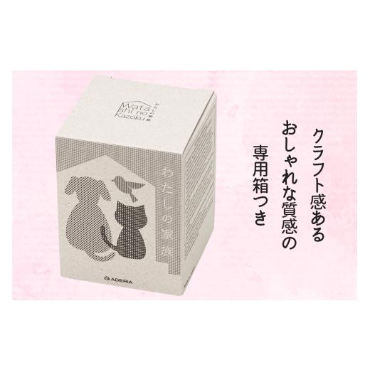 ふるさと納税 雑貨・日用品 グラス 愛知県 岩倉市 わたしの家族 子猫グラス 3個セット (ミケ・トラ・ブチ)｜三毛猫 ミケネコ みけねこ トラ猫 トラネコ とらね…_7