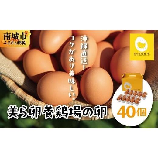 ふるさと納税 卵(鶏、烏骨鶏等) 沖縄県 南城市 卵の黄身が掴めるほどの新鮮さ 美ら卵養鶏場の卵 40個 順次配送 I たまご タマゴ 卵 美ら卵 養鶏場 美ら卵 新…