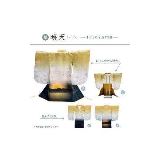 ふるさと納税 雑貨・日用品 インテリア 富山県 氷見市 ミニチュア着物 tateyama3点セット（完成品） 富山県 氷見市 雑貨 インテリア 装飾の画像