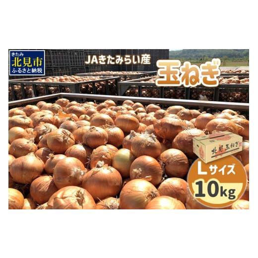 ふるさと納税 野菜類 玉ねぎ 北海道 北見市 2025年11月中お届け JAきたみらい産 玉ねぎ Lサイズ 10kg ( タマネギ たまねぎ 野菜 ) 210-0001 2025年11月中お届…