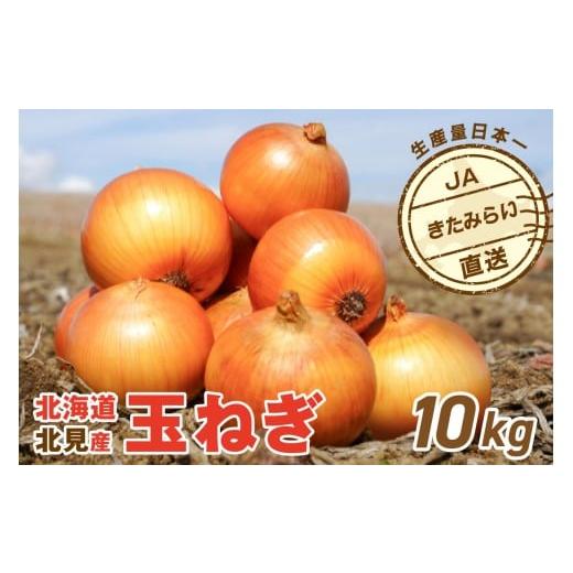 ふるさと納税 野菜類 玉ねぎ 北海道 北見市 2026年3月中お届け JAきたみらい産 玉ねぎ Lサイズ 10kg ( タマネギ たまねぎ 野菜 ) 210-0003 2026年3月中お届け