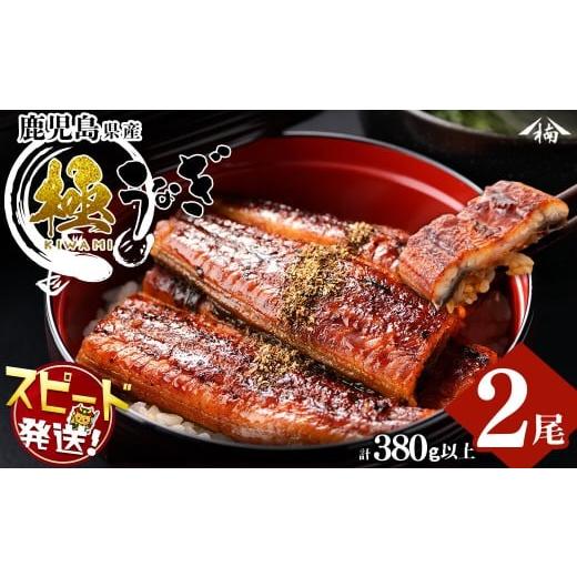 ふるさと納税 うなぎ 鹿児島県 志布志市 楠田の極うなぎ蒲焼き190g以上×2尾(計380g以上) 山椒付たれ 鰻 ウナギ 蒲焼 うな重 ひつまぶし 鹿児島 冷凍 おかず …