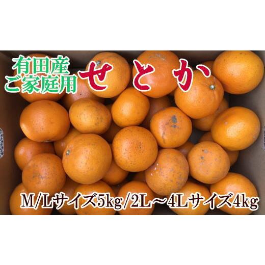 ふるさと納税 みかん・柑橘類 和歌山県 美浜町 先行予約 訳あり・ご家庭用 和歌山紀州有田産 せとか 約4〜5kg 柑橘 一度は食べていただきたい