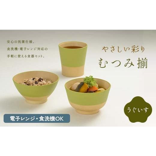 ふるさと納税 食器・グラス セット 石川県 加賀市 やさしい彩り むつみ揃 うぐいす F6P-2566 うぐいす