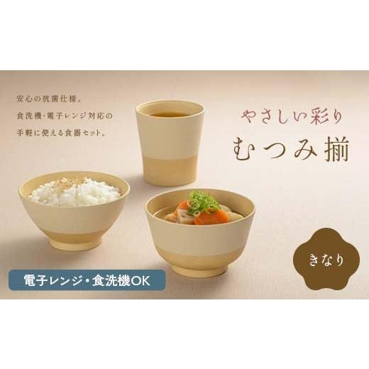 ふるさと納税 食器・グラス セット 石川県 加賀市 やさしい彩り むつみ揃 きなり F6P-2567 きなり