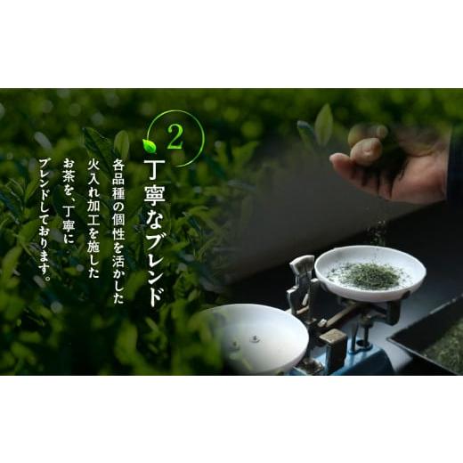 ふるさと納税 お茶類 鹿児島県 鹿児島市 かごしま霧島茶 （100g×7袋）　K346-002_04_7