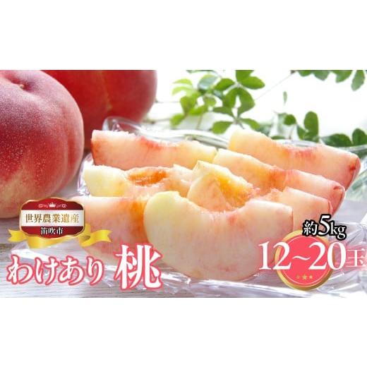 ふるさと納税 もも 山梨県 笛吹市 2026年発送 先行予約 山梨県笛吹市産 ご家庭用桃(わけあり) 約5kg 12玉〜20玉 223-016-26y