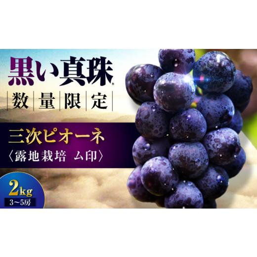 ふるさと納税 果物類 ぶどう 広島県 三次市 先行予約 三次ピオーネ 露地栽培ム印 2kg (3〜5房) 8月下旬以降順次発送 限定 ぶどう 黒ぶどう ピオーネ 葡萄 …