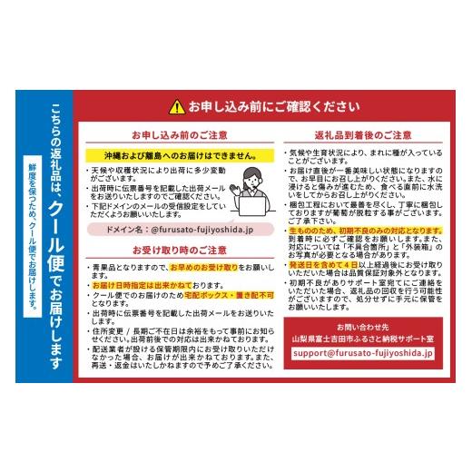 ふるさと納税 ぶどう マスカット 山梨県 富士吉田市  2026年発送 3回定期便 ジューシーで甘さ抜群 厳選シャインマスカット1kg以上×3回配送 シャインマスカッ…の画像