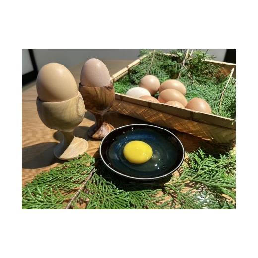 ふるさと納税 卵(鶏、烏骨鶏等) 福岡県 添田町 つのたま タカセ花園 a0783 返礼品 添田町 ふるさと納税