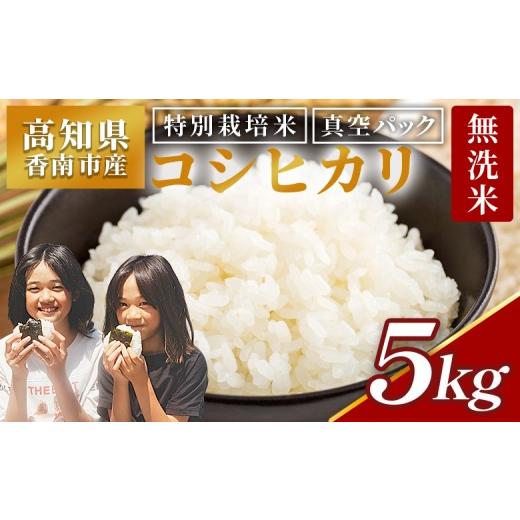 ふるさと納税 無洗米 高知県 香南市 無洗米 コシヒカリ 5kg 特別栽培米 無洗米 白米 真空パック 令和8年産 国産 米 お米 おこめ kome 5キロ こしひかり コシヒ…
