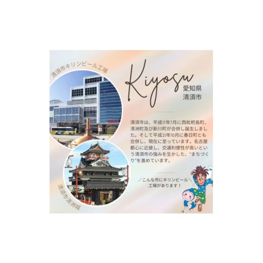 ふるさと納税 ビール 愛知県 清須市  3ヵ月毎定期便 キリン 本麒麟 350ml×48本(2ケース)全3回 4066885の画像