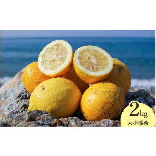ふるさと納税 みかん・柑橘類 レモン 和歌山県 由良町 和歌山県産完熟レモン(2kg・大小混合)皮まで使用可能 2026年1月中旬頃〜4月下旬頃に順次発送予定 / …