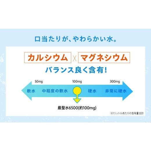 ふるさと納税 地域のお礼の品 広島県 福山市  全3回定期便 飲料 水 ミネラルウォーター 巌聖水6500 500ml×24本 ミネラルウォーター ペットボトル 水 みず 天…の画像